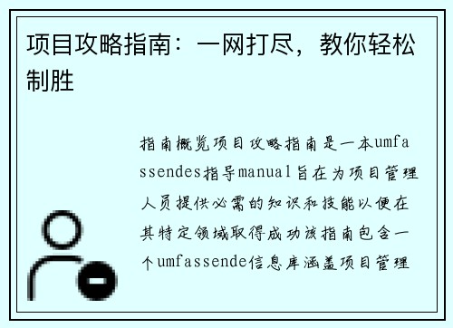 项目攻略指南：一网打尽，教你轻松制胜