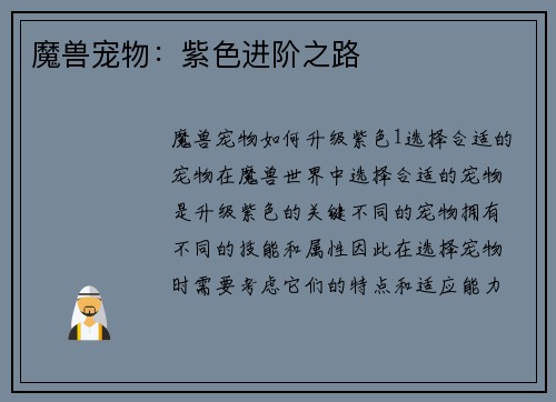 魔兽宠物：紫色进阶之路